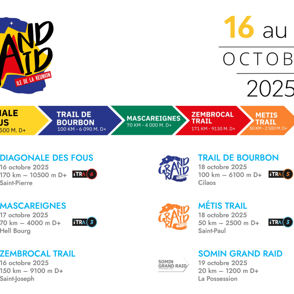 Les Personnes Clés Du Brest Urban Trail :  Bénévoles, Artistes Et Partenaires