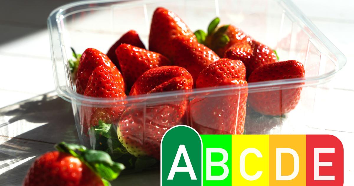 Les Produits Du Morning Retail Au Microscope Nutriscore Les Produits Du Morning Retail Au Microscope Nutriscore