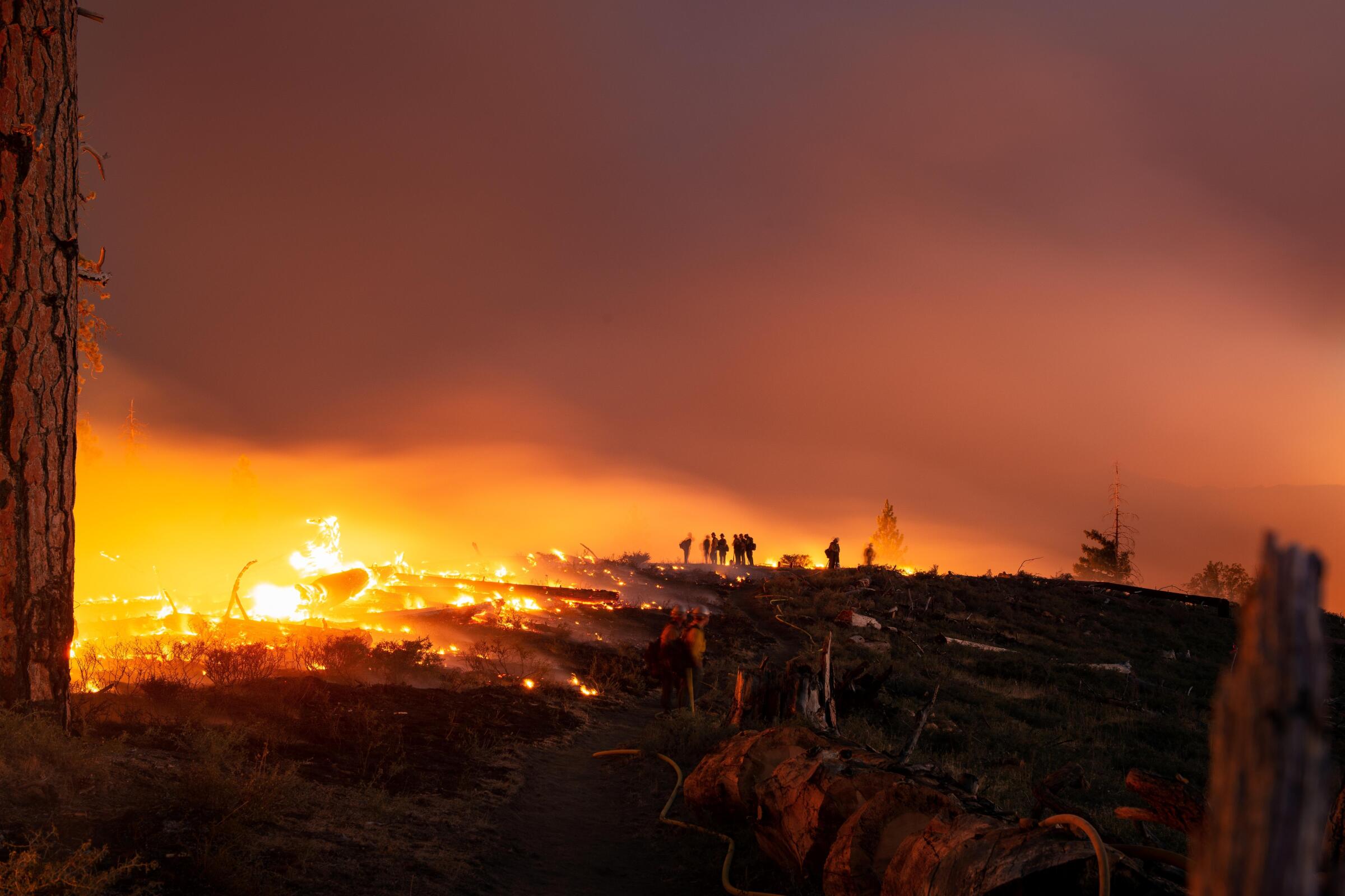 Los Angeles Wildfires: A Reflection Of Our Times Through Betting Markets Los Angeles Wildfires: A Reflection Of Our Times Through Betting Markets