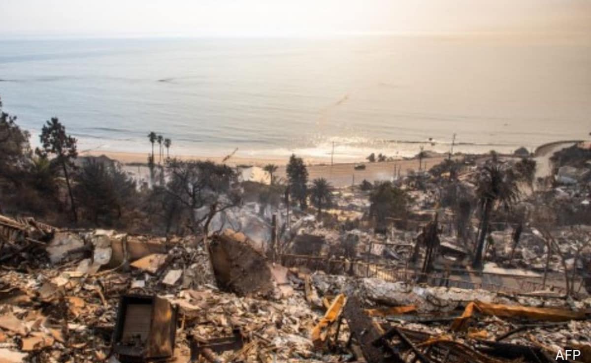 Los Angeles Wildfires: A Reflection Of Our Times Through Disaster Betting Los Angeles Wildfires: A Reflection Of Our Times Through Disaster Betting