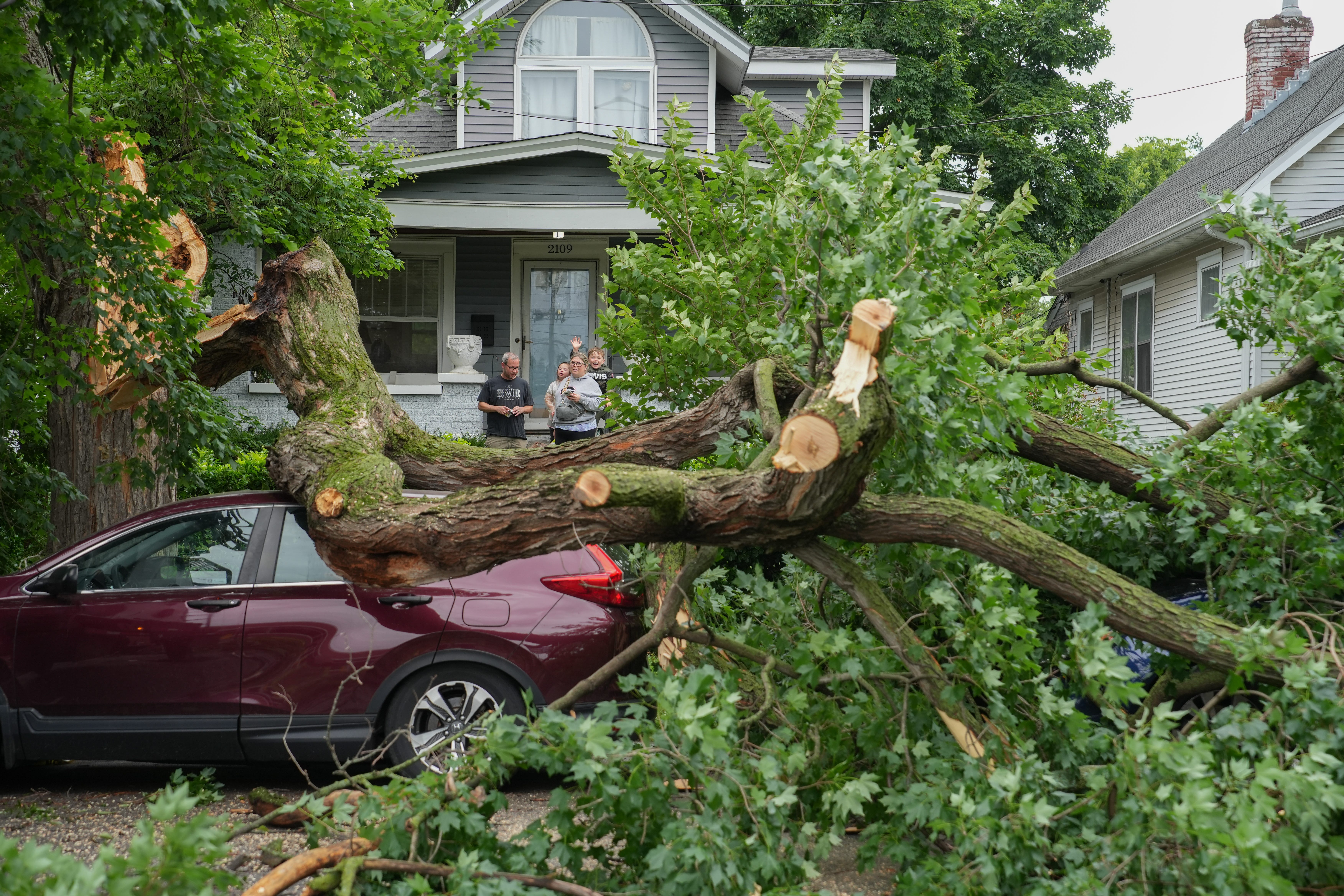 Louisville Residents: Submit Storm Damage Debris Removal Requests Louisville Residents: Submit Storm Damage Debris Removal Requests