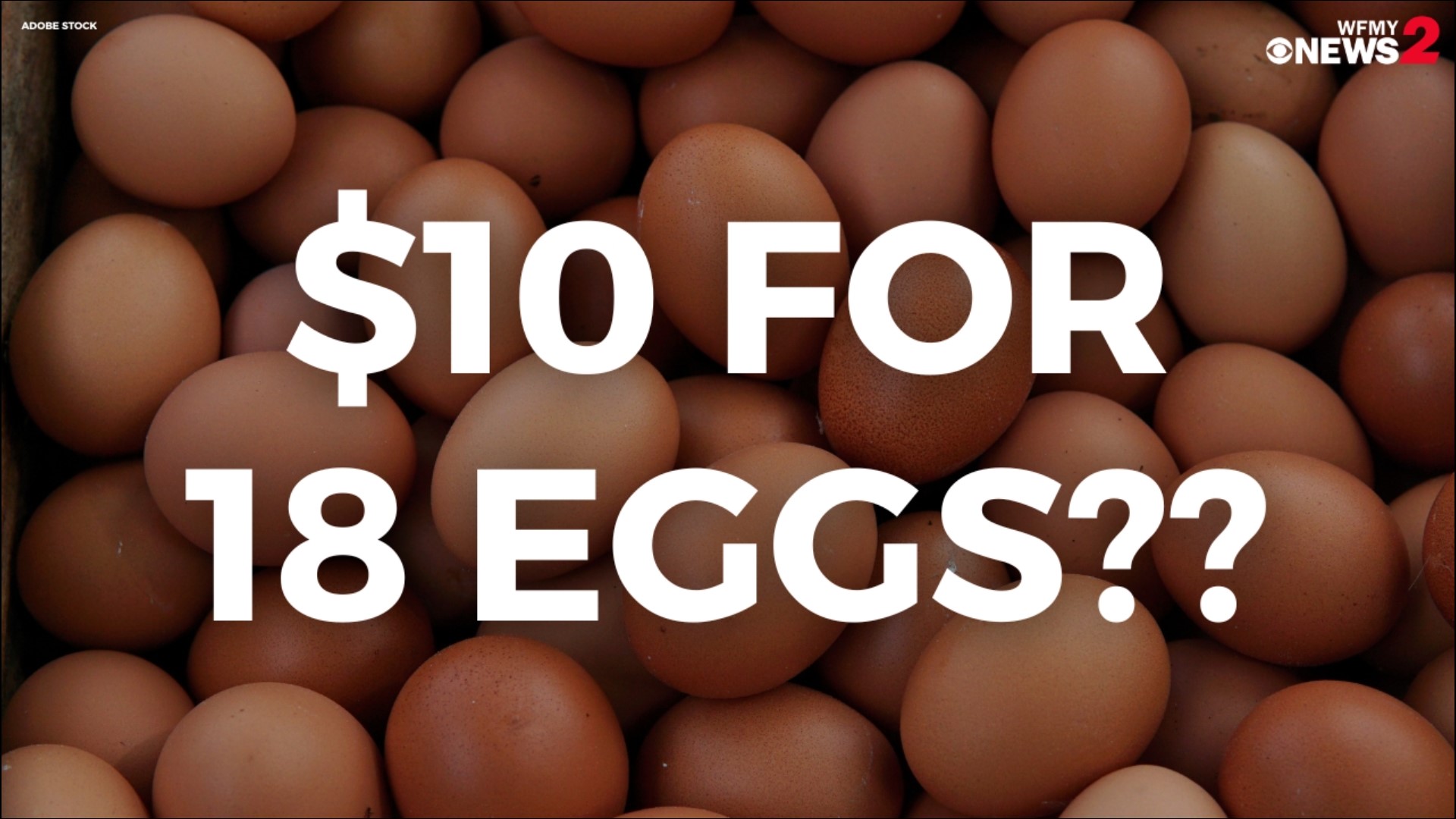 Lower Egg Prices: A Dozen Now Costs $5 In The US Lower Egg Prices: A Dozen Now Costs $5 In The US