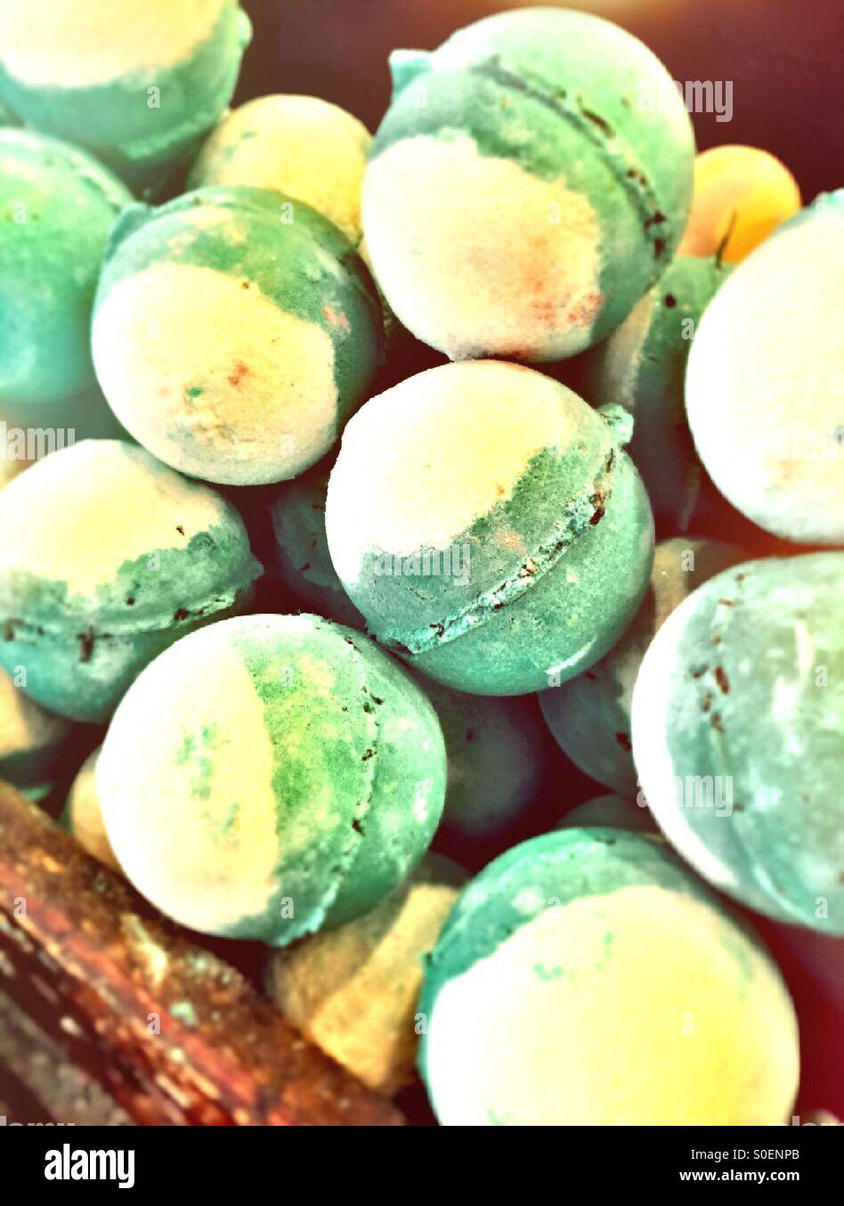 Lush NYC: 30-Minute Bubble Bath Experience For $75 Lush NYC: 30-Minute Bubble Bath Experience For $75