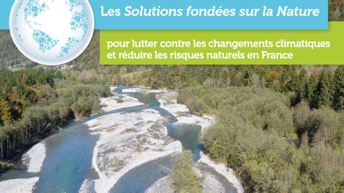 Maîtriser Les Risques: Des Solutions Pour Éviter Les Catastrophes Maîtriser Les Risques: Des Solutions Pour Éviter Les Catastrophes