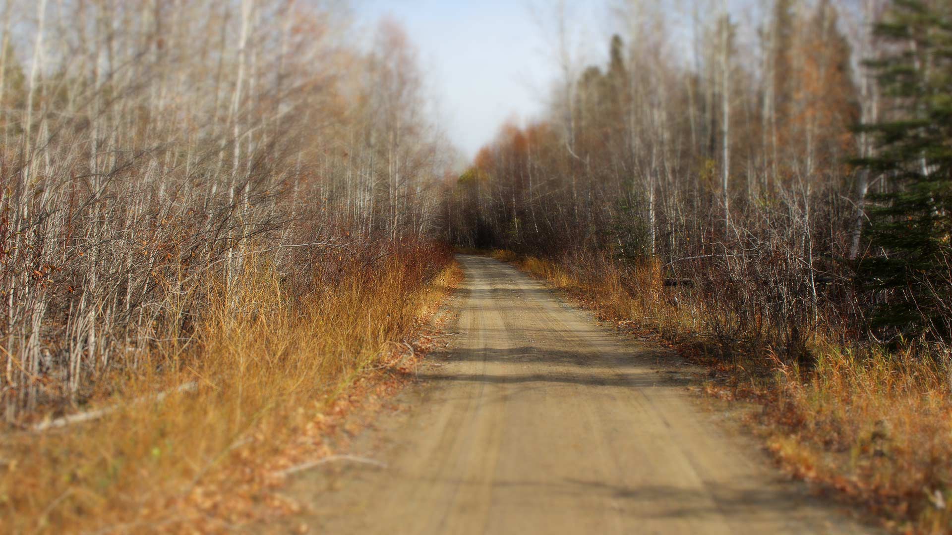 Manitoba Mineral Development Fund Invests In Canadian Gold Corp's Tartan Mine Project Manitoba Mineral Development Fund Invests In Canadian Gold Corp's Tartan Mine Project