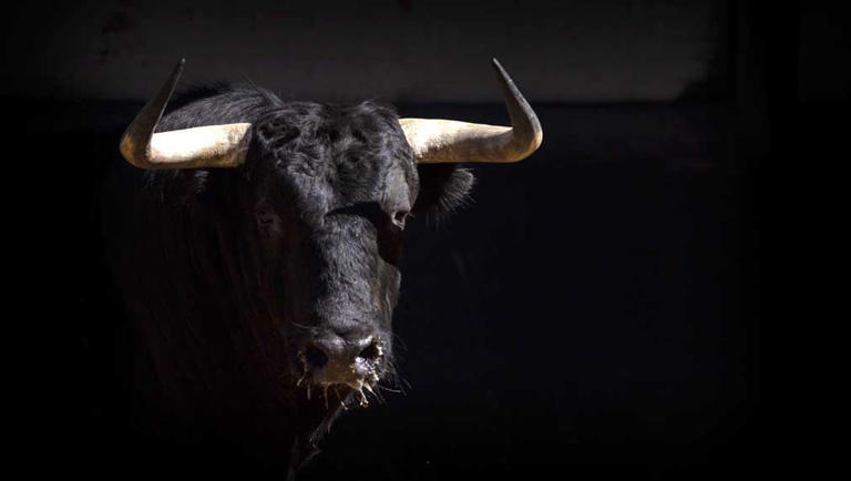 Market Movers Today: Bonds, Dow Futures, And Bitcoin — Real-Time Updates Market Movers Today: Bonds, Dow Futures, And Bitcoin — Real-Time Updates
