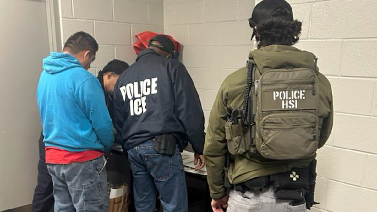 Migrant Spends Eight Hours In Tree To Evade ICE Arrest: A Desperate Act Of Survival Migrant Spends Eight Hours In Tree To Evade ICE Arrest: A Desperate Act Of Survival
