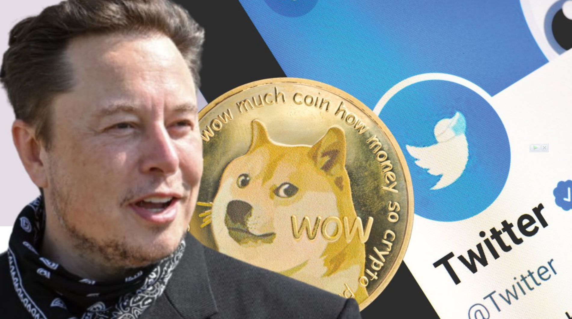 Musk On Dogecoin And The Trump Era: A Look Back At His Actions And Their Impact Musk On Dogecoin And The Trump Era: A Look Back At His Actions And Their Impact