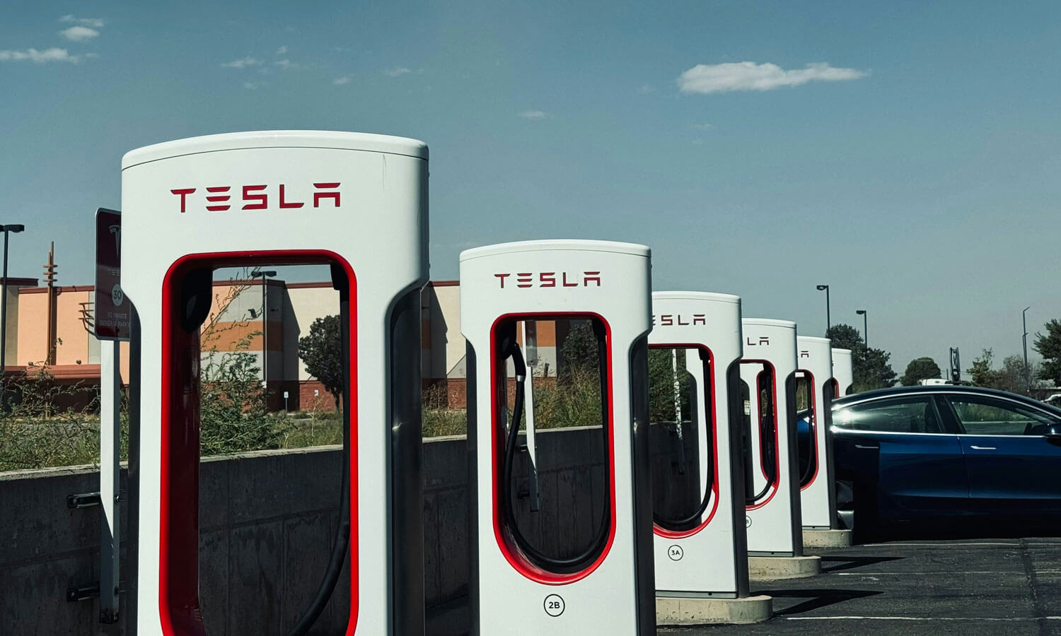 Musk's Political Ties Weigh On Tesla's Q1 Financial Performance Musk's Political Ties Weigh On Tesla's Q1 Financial Performance