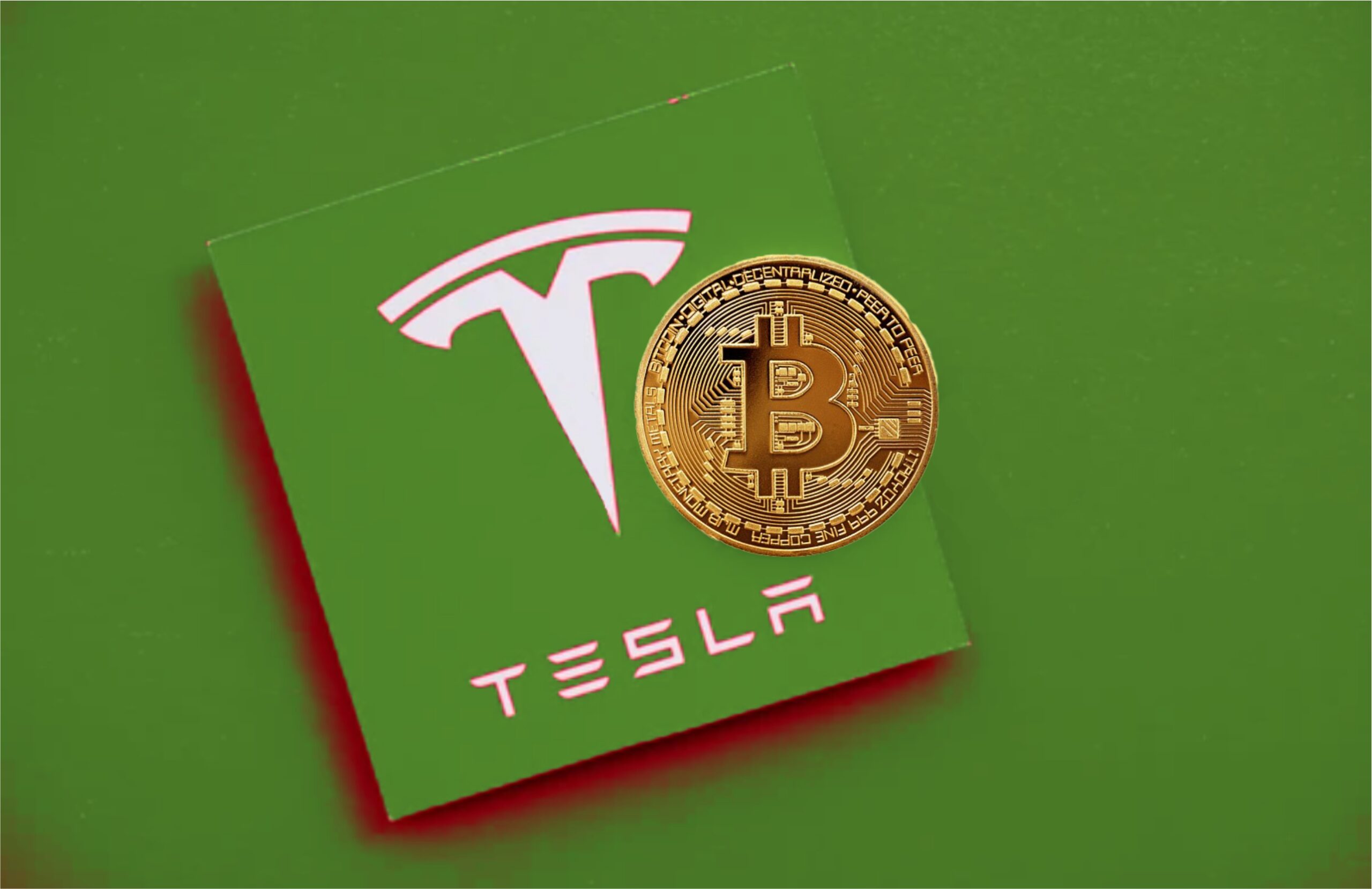 Musk's SpaceX Holdings: A $43 Billion Increase Over Tesla Investment Musk's SpaceX Holdings: A $43 Billion Increase Over Tesla Investment