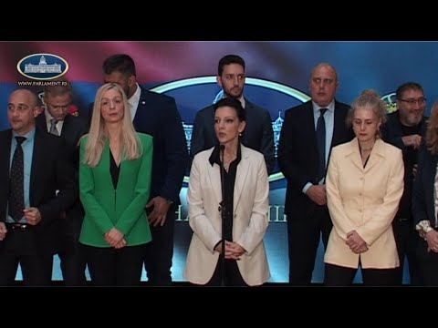 Национални Савет Рома И Оптужбе За Говор Мржње: Случај Маринике Тепић Национални Савет Рома И Оптужбе За Говор Мржње: Случај Маринике Тепић