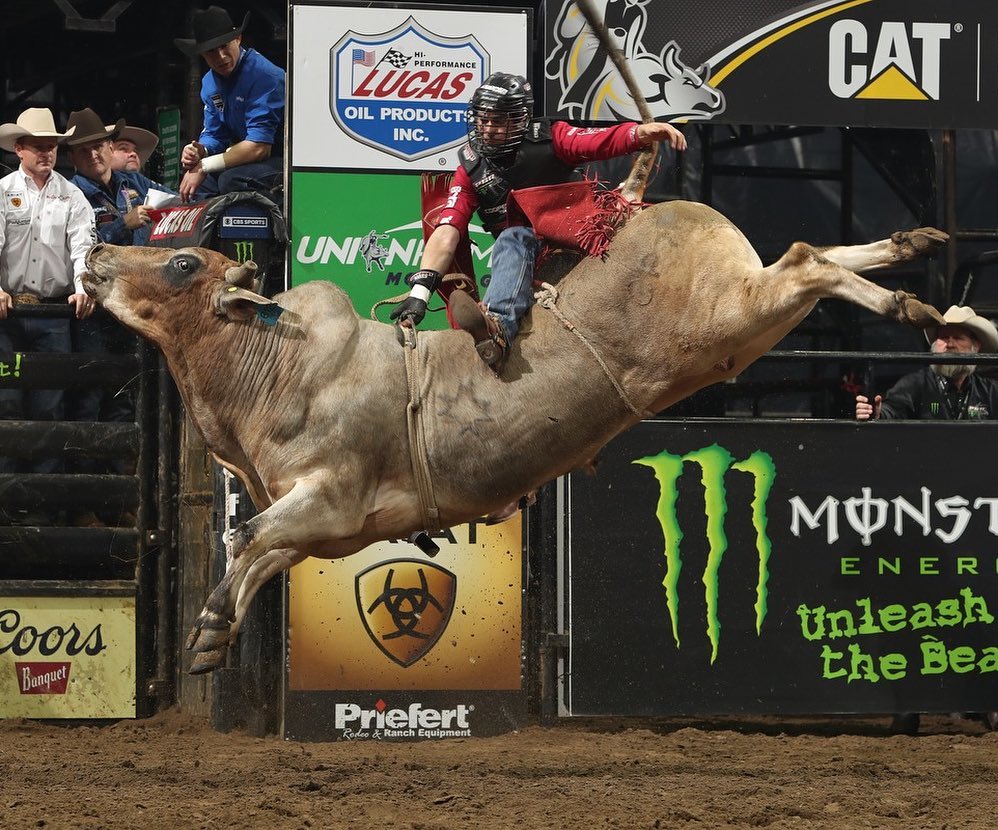 Neal McDonough Rides The Wildest Bull In The Last Rodeo Neal McDonough Rides The Wildest Bull In The Last Rodeo