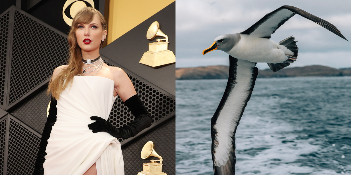 New Taylor Swift Easter Eggs Hint At A Big May 26th Reveal