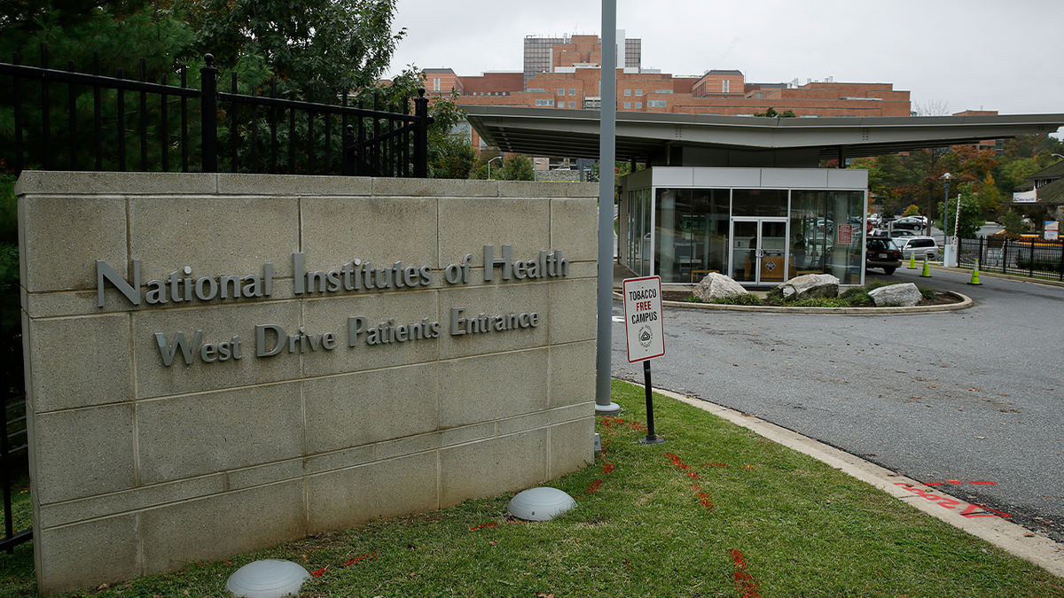 NIH Town Hall Disrupted By Staff Walkout Over Funding And Ideology