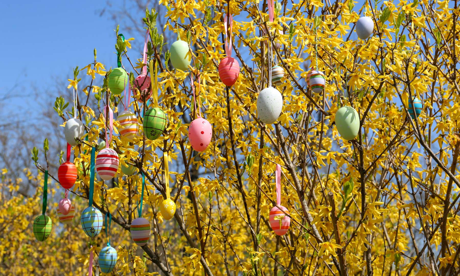 North East England: Top Easter Holiday Destinations & Activities North East England: Top Easter Holiday Destinations & Activities