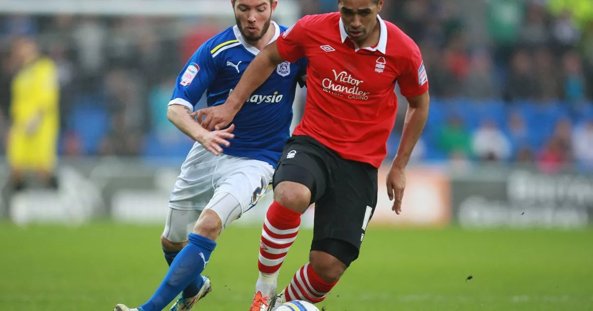 Nottingham Forest: Two Strikers Isn't Enough – A Summer Transfer Priority Nottingham Forest: Two Strikers Isn't Enough – A Summer Transfer Priority