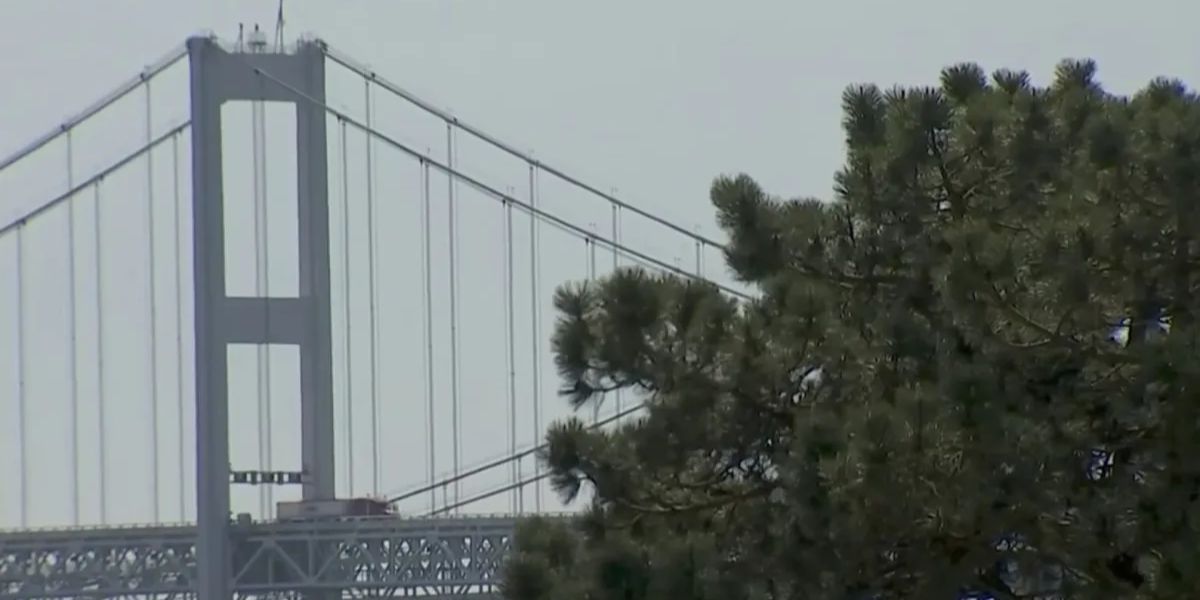 NYC Bridge Safety: Urgent Review Of 9 Structures After Baltimore Incident NYC Bridge Safety: Urgent Review Of 9 Structures After Baltimore Incident
