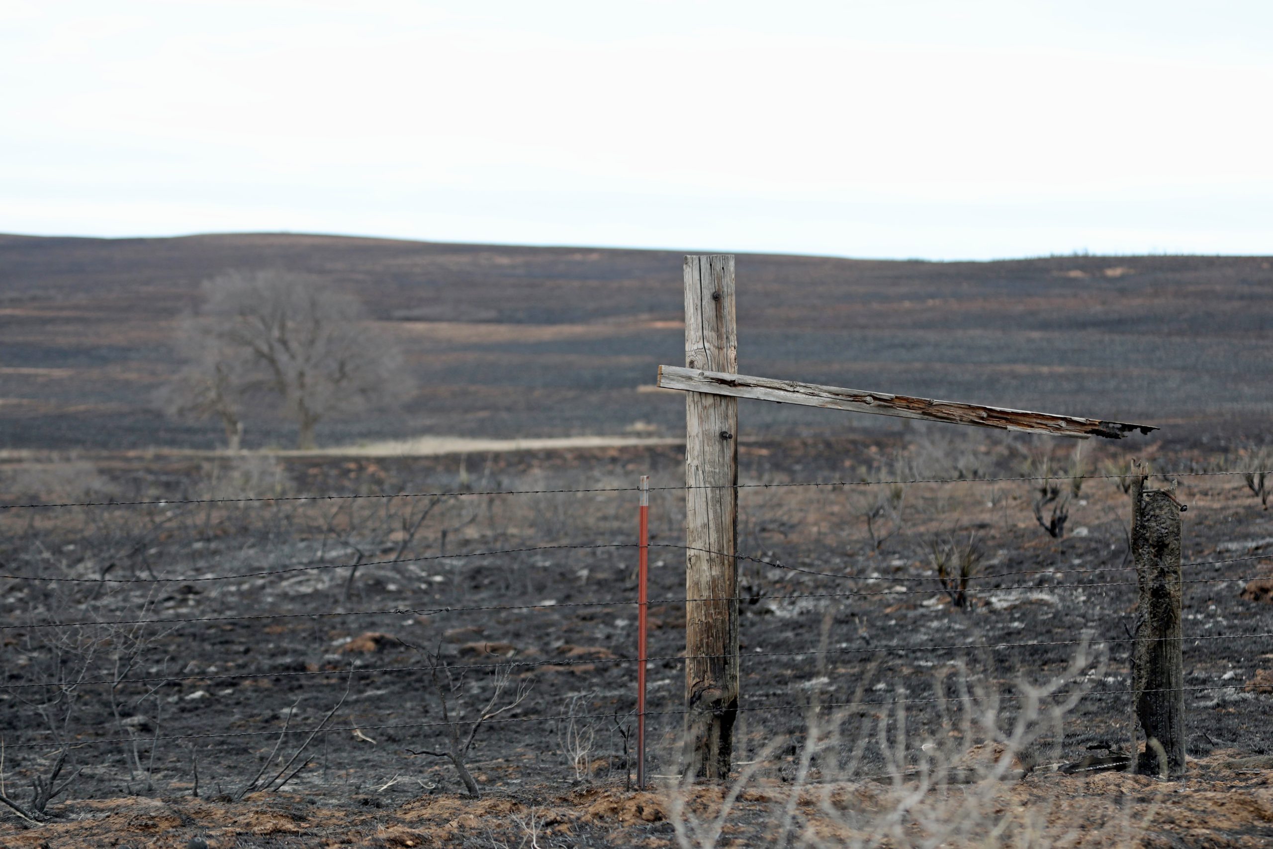 One Year After The Texas Panhandle Wildfire: A Look At The Ongoing Recovery One Year After The Texas Panhandle Wildfire: A Look At The Ongoing Recovery