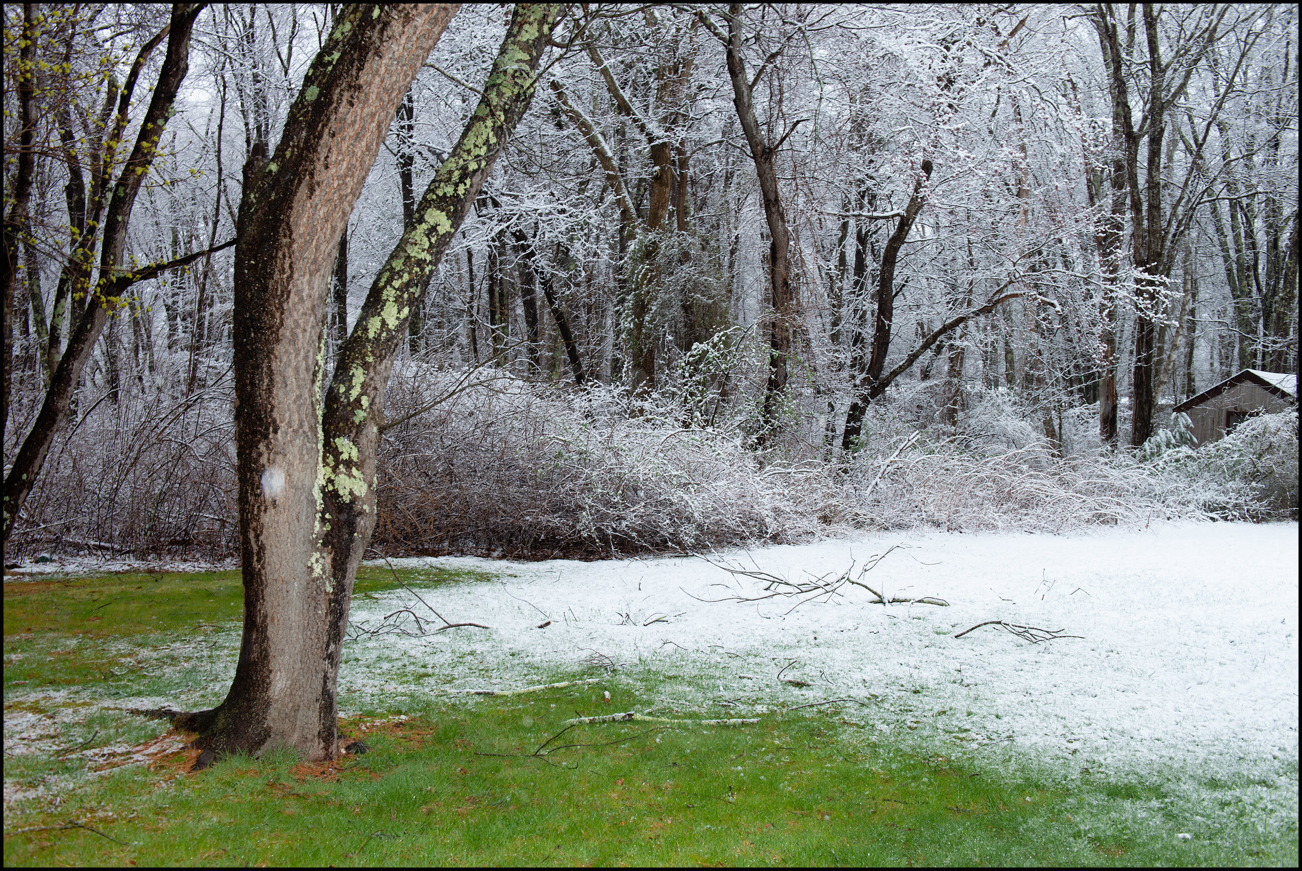 Pandemic Reflection: A Seattle Park's Role As A Refuge Pandemic Reflection: A Seattle Park's Role As A Refuge