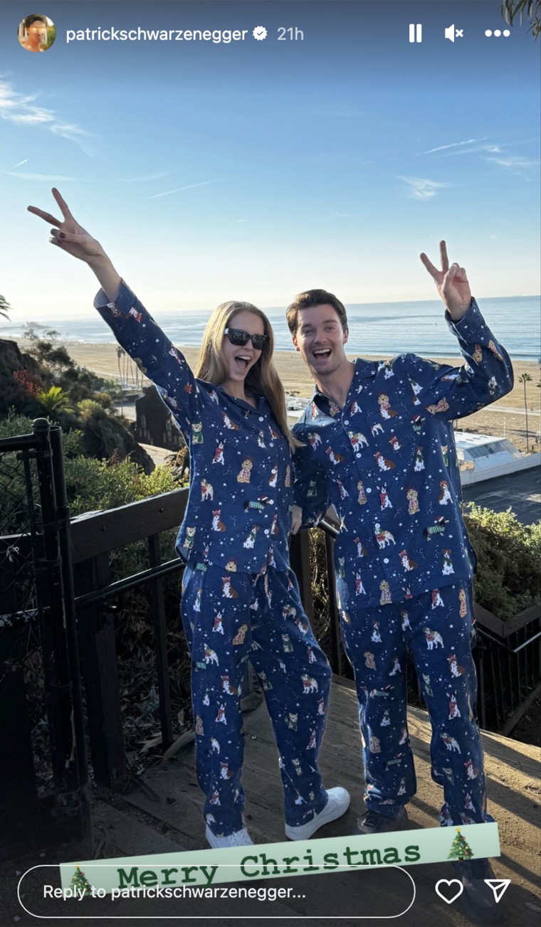 Patrick Schwarzenegger And Abby Champion: What Happened To Their Wedding Plans? Patrick Schwarzenegger And Abby Champion: What Happened To Their Wedding Plans?
