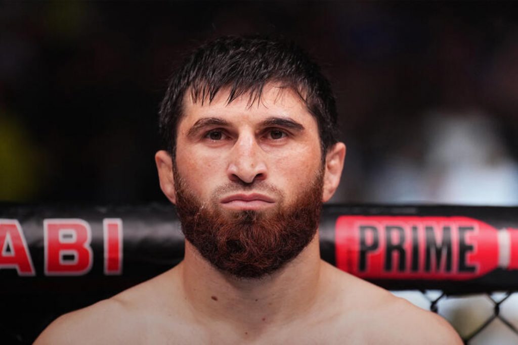 Pereira Vs Ankalaev UFC 313: Your Guide To DFS Success Pereira Vs Ankalaev UFC 313: Your Guide To DFS Success