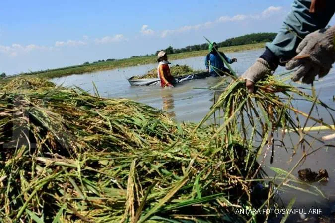 Peringatan Dini Cuaca: Hujan Guyur Jawa Tengah 23 April Peringatan Dini Cuaca: Hujan Guyur Jawa Tengah 23 April