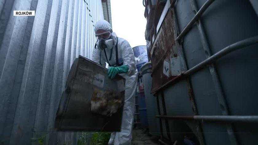Polski Nitro-Chem: Lider W Produkcji Trotylu W Europie Polski Nitro-Chem: Lider W Produkcji Trotylu W Europie