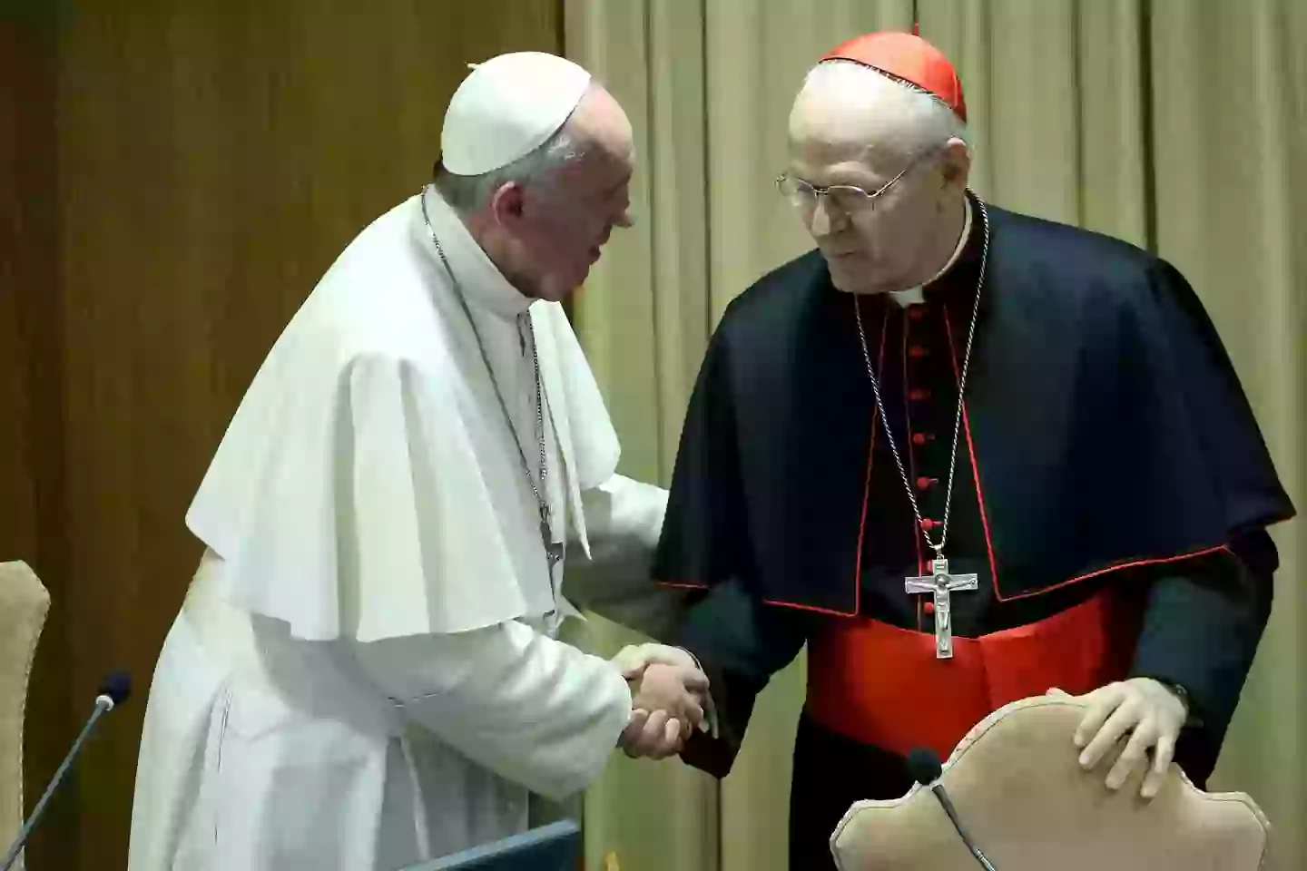 Possible Successors To Pope Francis: Leading Cardinals And Their Platforms Possible Successors To Pope Francis: Leading Cardinals And Their Platforms