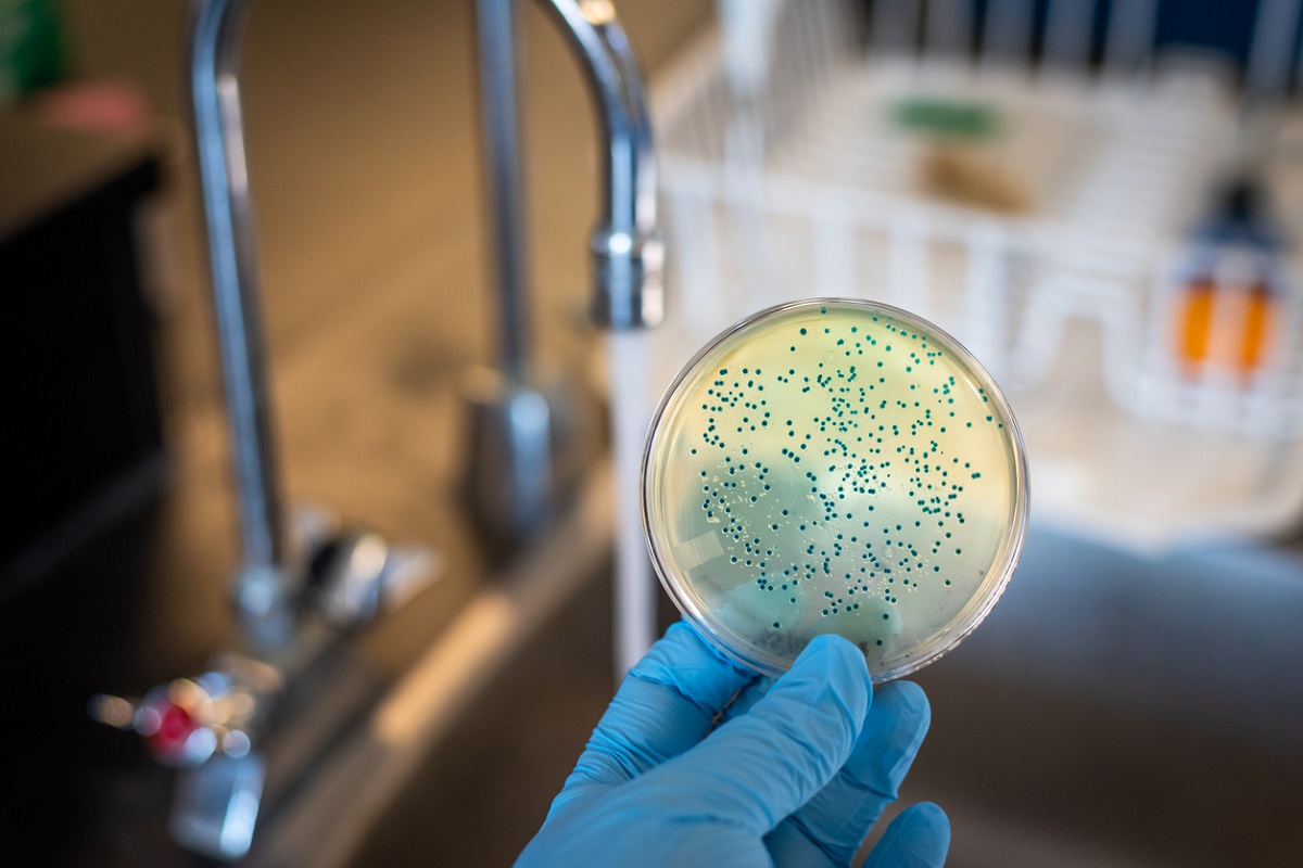 Powerful CRISPR: Precise Whole Gene Insertion Into Human DNA Powerful CRISPR: Precise Whole Gene Insertion Into Human DNA