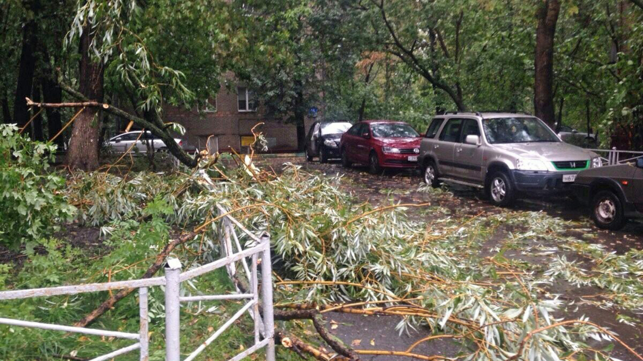 Предупреждение МАДА О Непогоде В Израиле: Что Нужно Знать Предупреждение МАДА О Непогоде В Израиле: Что Нужно Знать