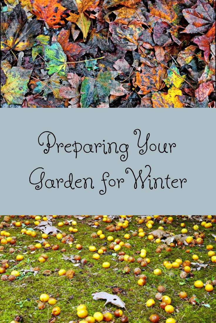 Preparing Your Home And Garden For Drier Weather Ahead Preparing Your Home And Garden For Drier Weather Ahead