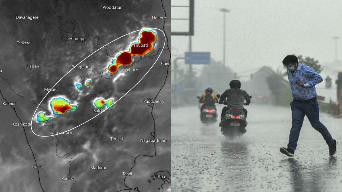Previsión Meteorológica: Lluvias Moderadas Esperadas Previsión Meteorológica: Lluvias Moderadas Esperadas