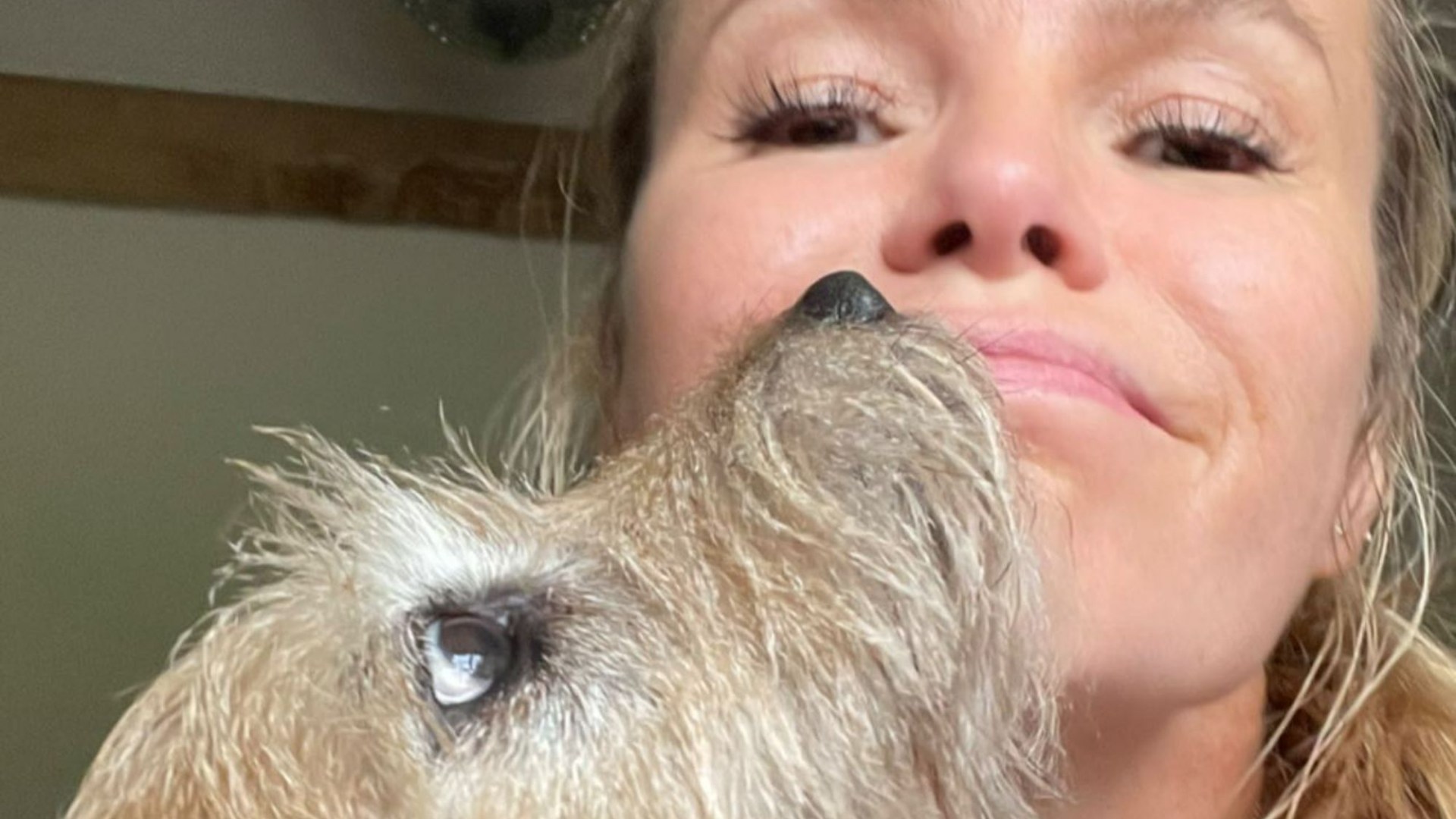 Public Outrage Over Amanda Holden's Dog Grooming Routine Public Outrage Over Amanda Holden's Dog Grooming Routine
