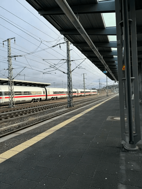 Public Transport Woes: Dealing With The Increasing Problem Of Bare Beating Public Transport Woes: Dealing With The Increasing Problem Of Bare Beating