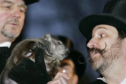 Punxsutawney Phil's Child's First Birthday Celebration Punxsutawney Phil's Child's First Birthday Celebration