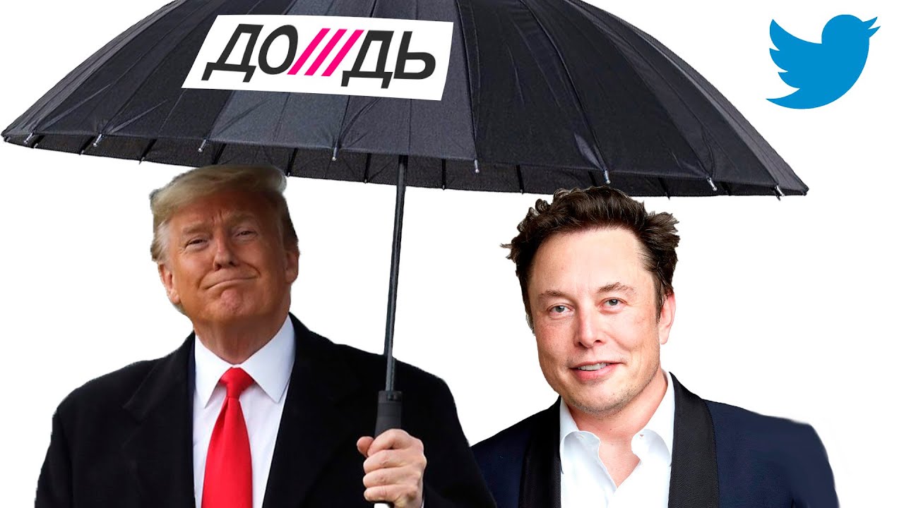 Реакція На Слова Кінга: Маск, Трамп Та Звинувачення У Зраді Реакція На Слова Кінга: Маск, Трамп Та Звинувачення У Зраді
