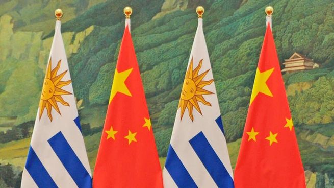Regalo Inusual De Uruguay A China: Claves Para El Éxito Exportador Ganadero Regalo Inusual De Uruguay A China: Claves Para El Éxito Exportador Ganadero