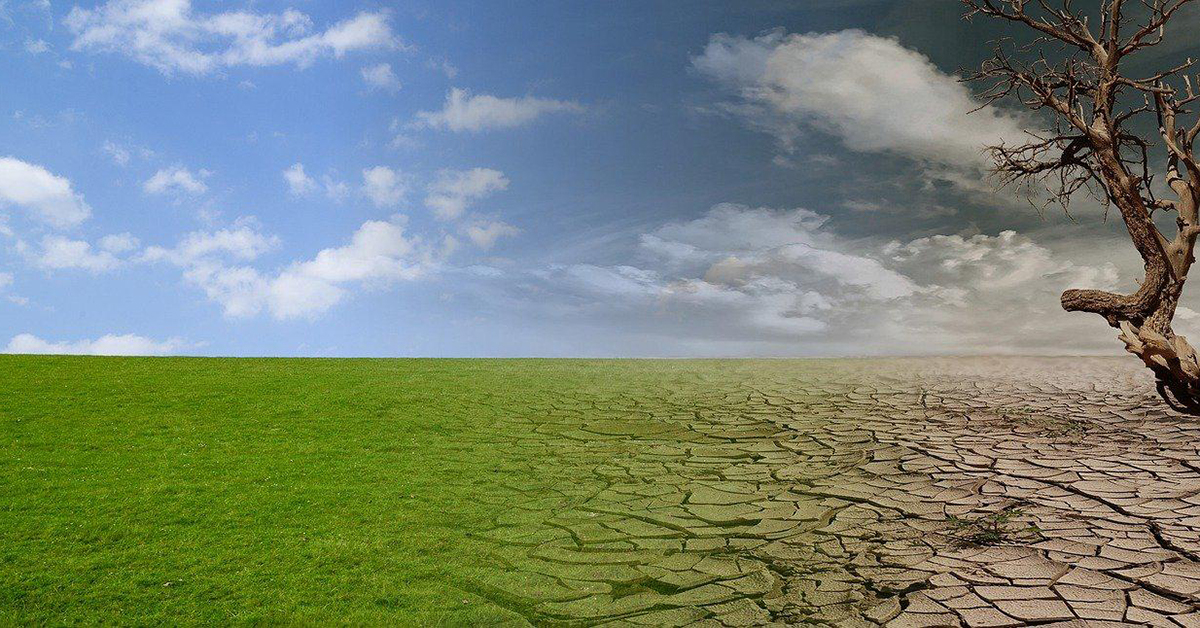 Regen Nur Punktuell: Deutschland Weiterhin Von Trockenheit Betroffen Regen Nur Punktuell: Deutschland Weiterhin Von Trockenheit Betroffen