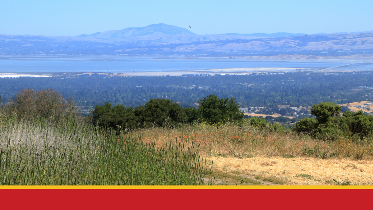 Remembering Sue Crane: A Dedicated Portola Valley Public Servant (1931-2023) Remembering Sue Crane: A Dedicated Portola Valley Public Servant (1931-2023)