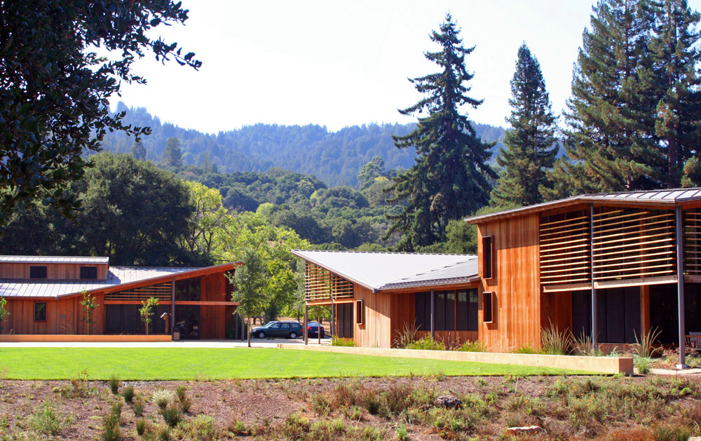 Remembering Sue Crane: A Legacy Of Public Service In Portola Valley Remembering Sue Crane: A Legacy Of Public Service In Portola Valley