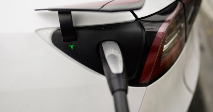 Resistance Grows: Car Dealerships Challenge EV Mandate Resistance Grows: Car Dealerships Challenge EV Mandate