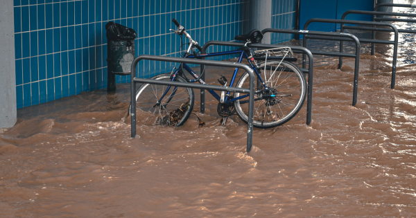 Responding To A Flood Warning: Essential Actions Based On NWS Advice Responding To A Flood Warning: Essential Actions Based On NWS Advice