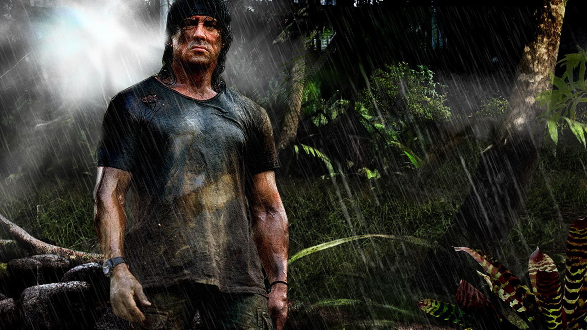 Revisitando A Adaptação Em Quadrinhos Com Sylvester Stallone: Uma Análise Revisitando A Adaptação Em Quadrinhos Com Sylvester Stallone: Uma Análise
