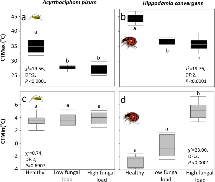 Rising Temperatures And The Increased Risk Of Invasive Fungal Diseases Rising Temperatures And The Increased Risk Of Invasive Fungal Diseases