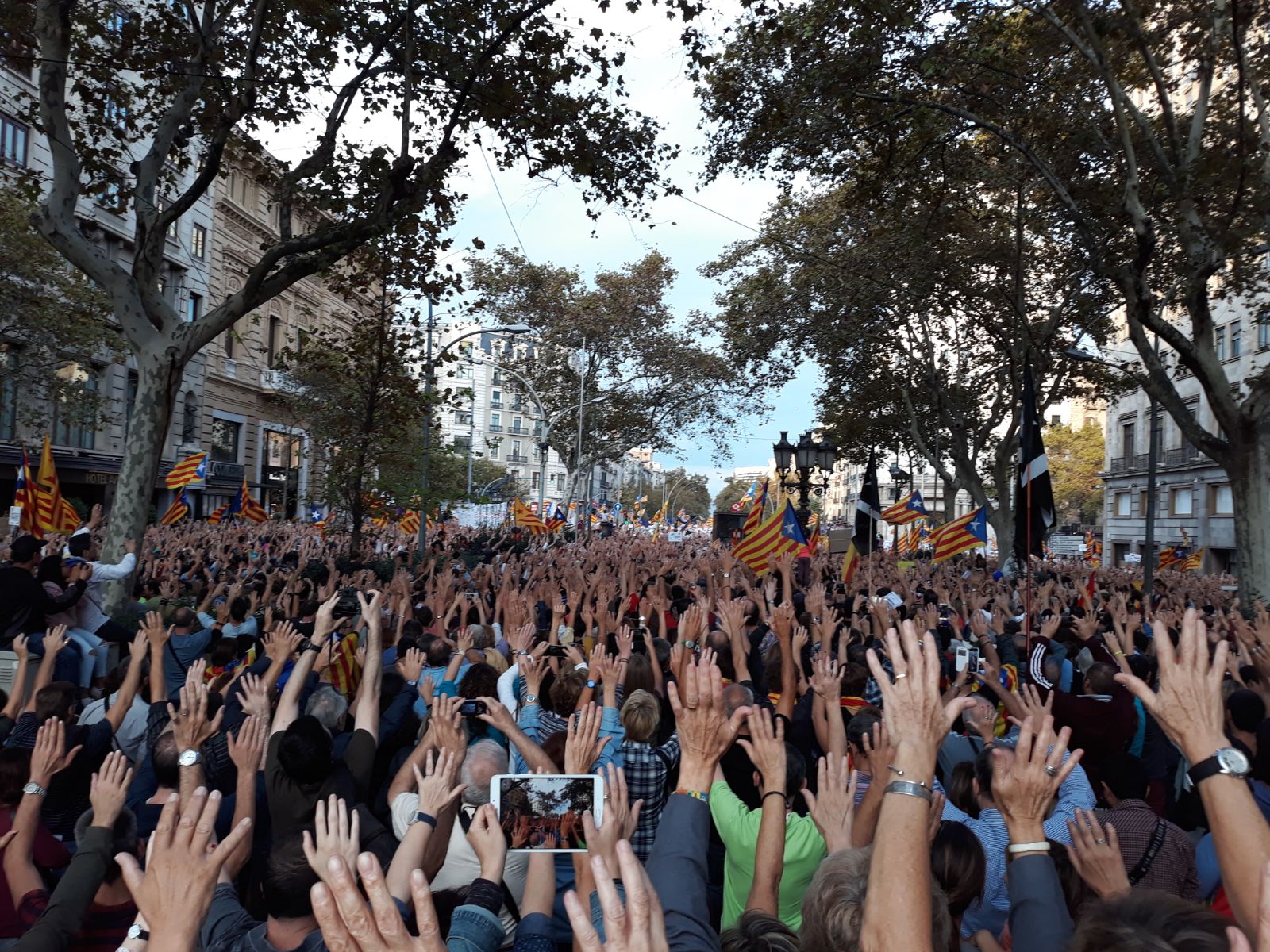 Ristoranti Palestinesi: 200 Persone Protestano Dopo Danneggiamento Vetrine Ristoranti Palestinesi: 200 Persone Protestano Dopo Danneggiamento Vetrine