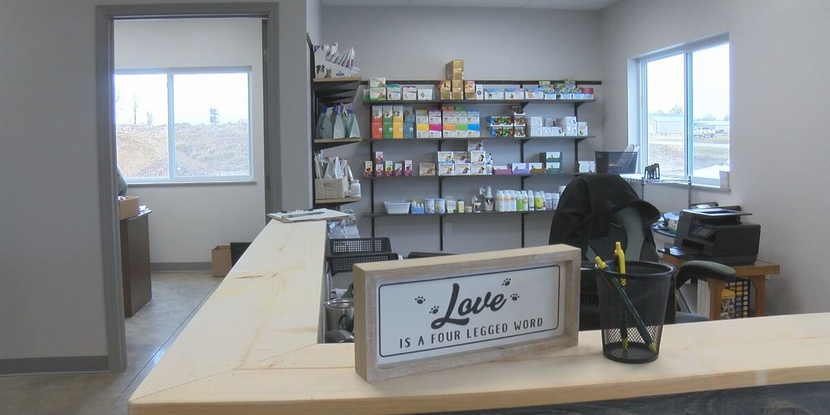 Rogart Veterinary Clinic Relocates To Tain After Fire Damage Rogart Veterinary Clinic Relocates To Tain After Fire Damage