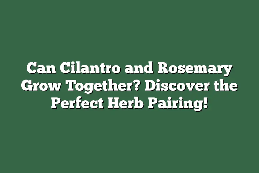Rosemary & Thyme: A Culinary Herb Pairing Guide Rosemary & Thyme: A Culinary Herb Pairing Guide