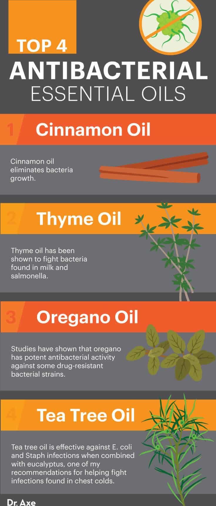 Rosemary & Thyme Essential Oils: Properties And Applications Rosemary & Thyme Essential Oils: Properties And Applications
