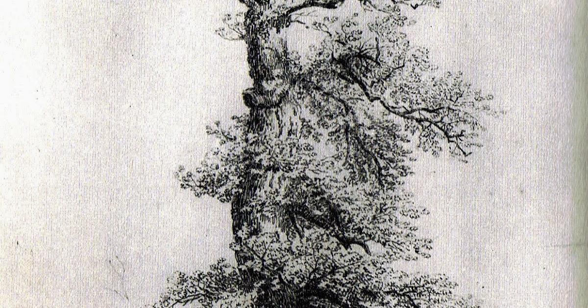 Sächsische Schweiz: Kann Dieser Wanderweg Mit Caspar David Friedrichs Motiven Mithalten? Sächsische Schweiz: Kann Dieser Wanderweg Mit Caspar David Friedrichs Motiven Mithalten?