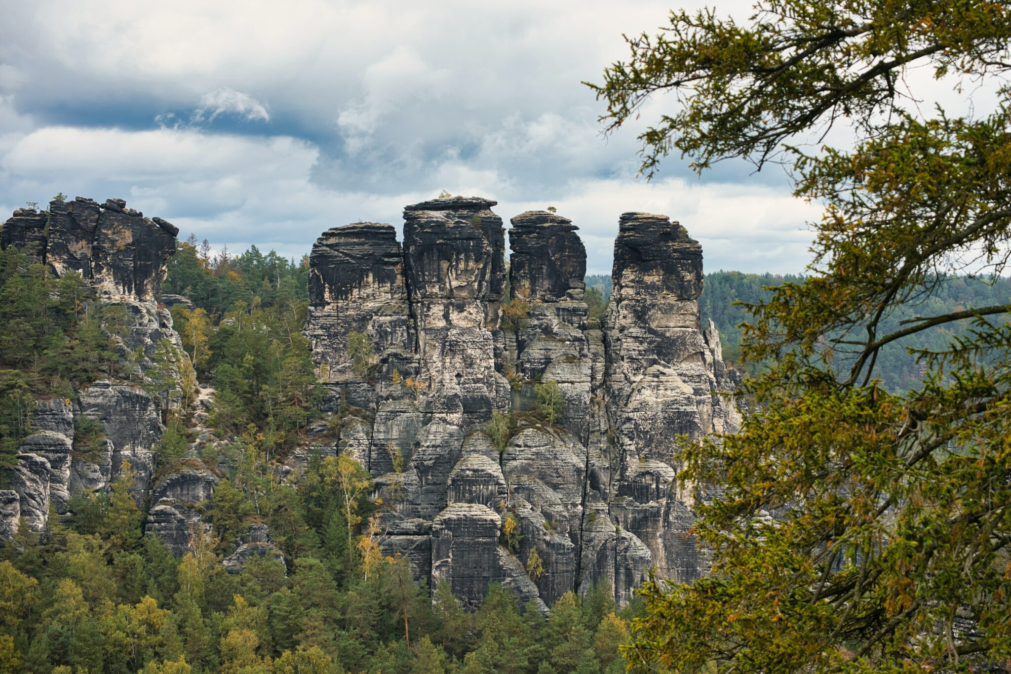 Sächsische Schweiz Nationalpark: Kooperation Mit Fünf Neuen Partnern Sächsische Schweiz Nationalpark: Kooperation Mit Fünf Neuen Partnern